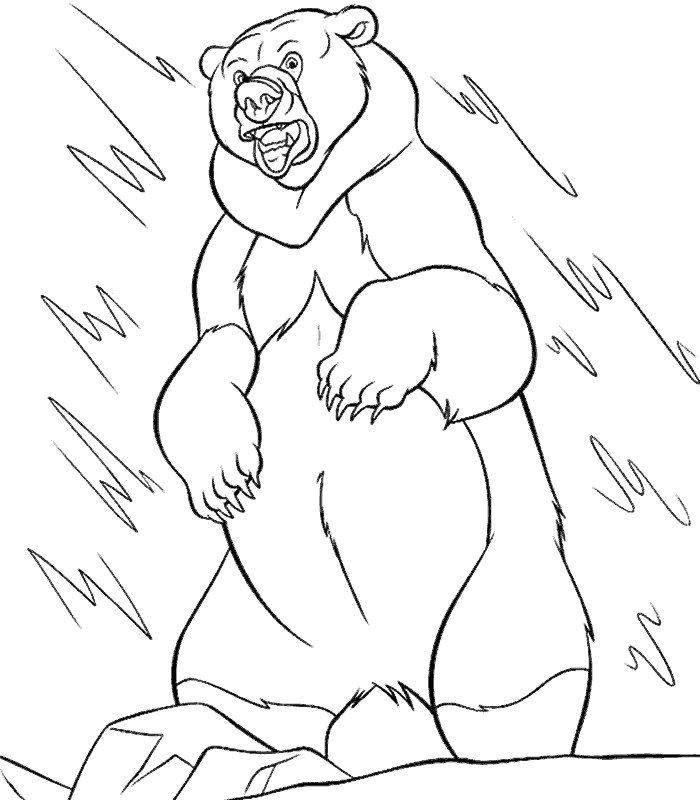 coloriage freres des ours menacant